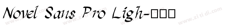 Novel Sans Pro Ligh字体转换